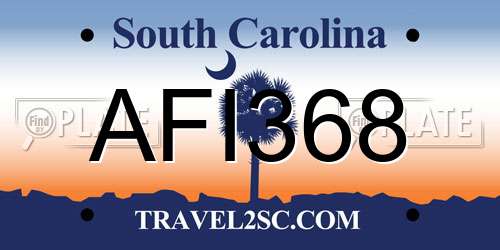 AFI368 South Carolina License Plate