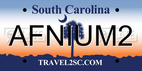 AFNIUM2 South Carolina License Plate