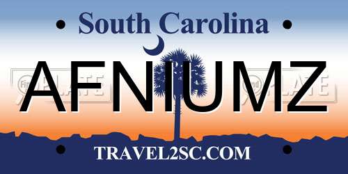AFNIUMZ South Carolina License Plate