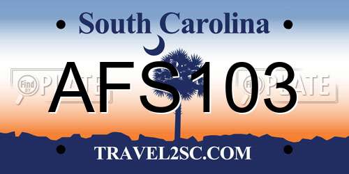 AFS103 South Carolina License Plate