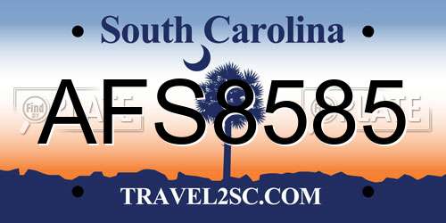 AFS8585 South Carolina License Plate