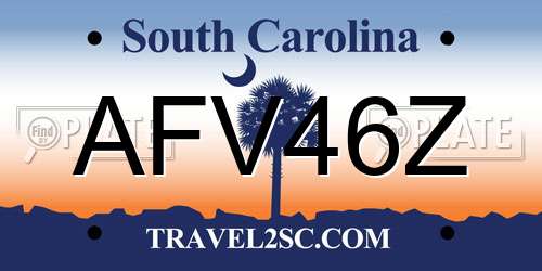 AFV46Z South Carolina License Plate