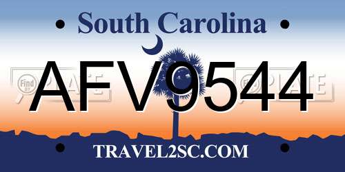 AFV9544 South Carolina License Plate