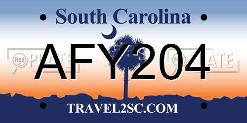 AFY204 South Carolina License Plate