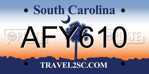 AFY610 South Carolina License Plate