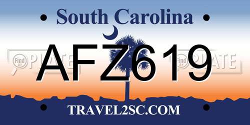 AFZ619 South Carolina License Plate