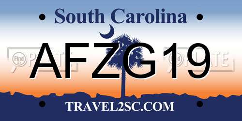 AFZG19 South Carolina License Plate