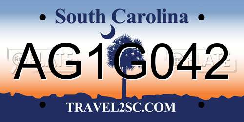 AG1G042 South Carolina License Plate