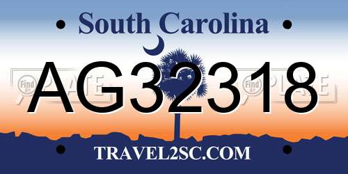 AG32318 South Carolina License Plate
