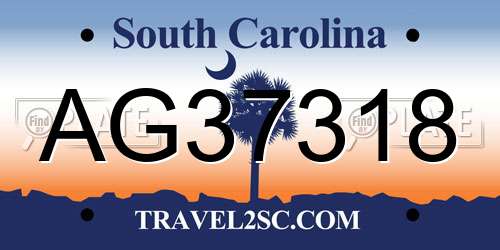 AG37318 South Carolina License Plate