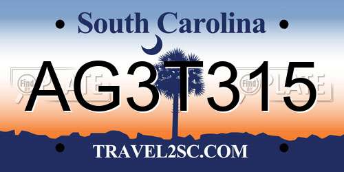 AG3T315 South Carolina License Plate