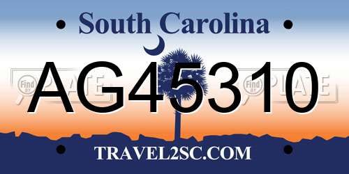 AG45310 South Carolina License Plate