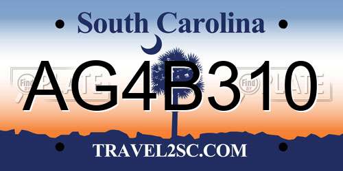 AG4B310 South Carolina License Plate