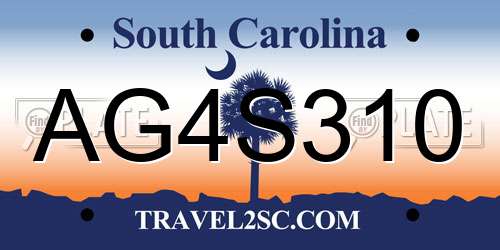 AG4S310 South Carolina License Plate
