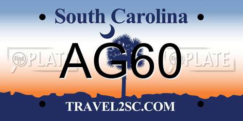 AG60 South Carolina License Plate