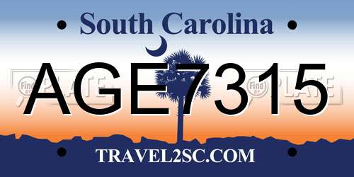 AGE7315 South Carolina License Plate