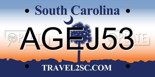 AGEJ53 South Carolina License Plate