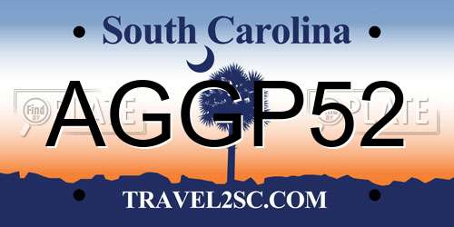 AGGP52 South Carolina License Plate