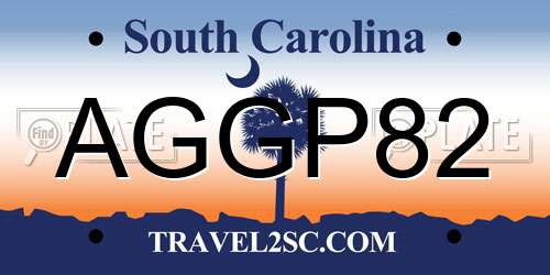 AGGP82 South Carolina License Plate