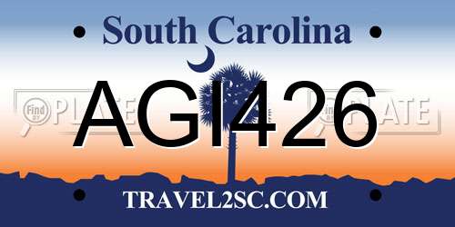 AGI426 South Carolina License Plate