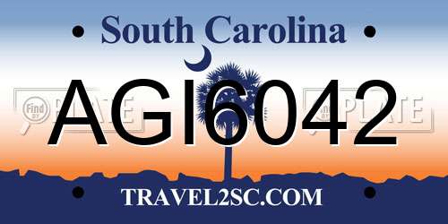 AGI6042 South Carolina License Plate