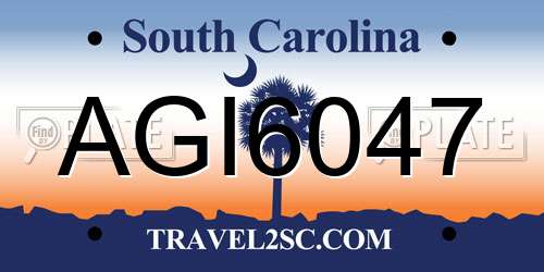 AGI6047 South Carolina License Plate