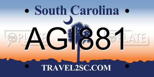 AGI881 South Carolina License Plate