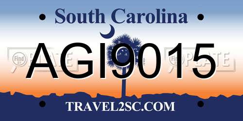 AGI9015 South Carolina License Plate