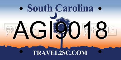 AGI9018 South Carolina License Plate
