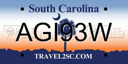 AGI93W South Carolina License Plate