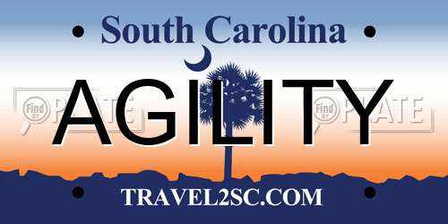 AGILITY South Carolina License Plate