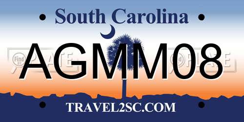 AGMM08 South Carolina License Plate