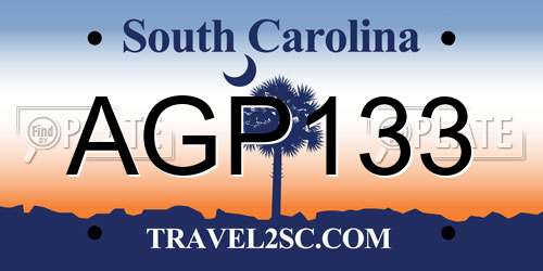 AGP133 South Carolina License Plate