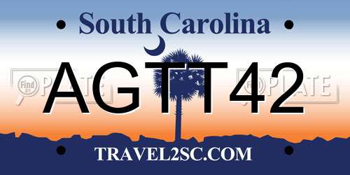 AGTT42 South Carolina License Plate