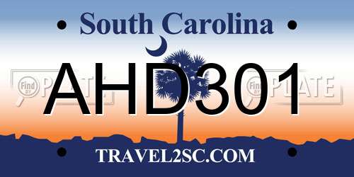 AHD301 South Carolina License Plate