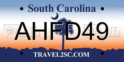 AHFD49 South Carolina License Plate