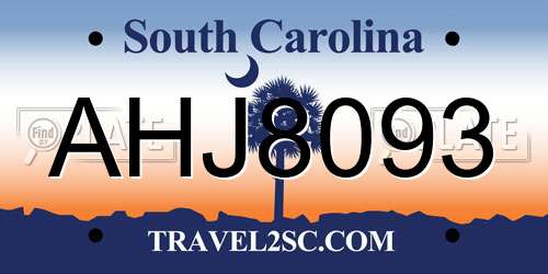 AHJ8093 South Carolina License Plate