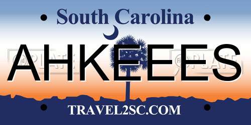 AHKEEES South Carolina License Plate