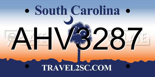 AHV3287 South Carolina License Plate