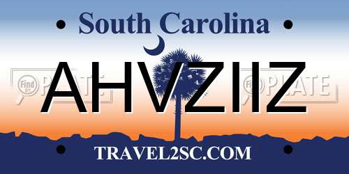 AHVZIIZ South Carolina License Plate