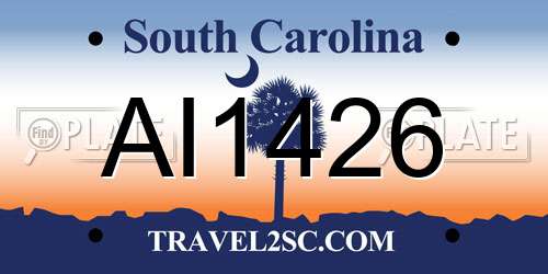 AI1426 South Carolina License Plate