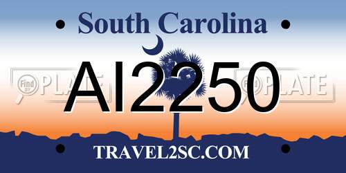 AI2250 South Carolina License Plate