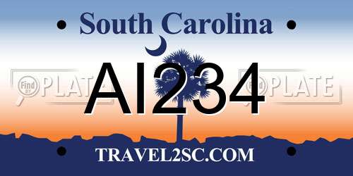 AI234 South Carolina License Plate