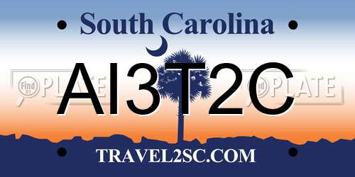 AI3T2C South Carolina License Plate