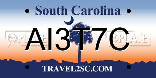 AI3T7C South Carolina License Plate