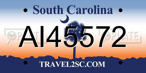 AI45572 South Carolina License Plate