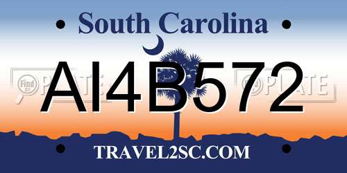 AI4B572 South Carolina License Plate