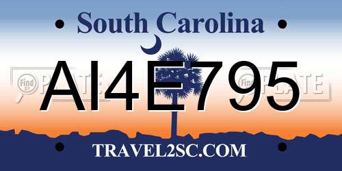 AI4E795 South Carolina License Plate