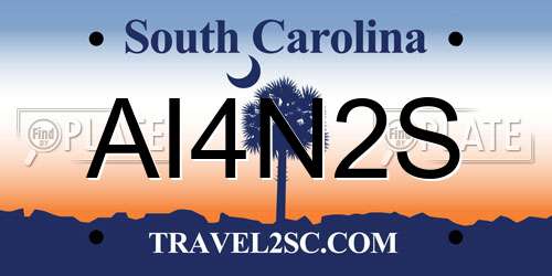 AI4N2S South Carolina License Plate