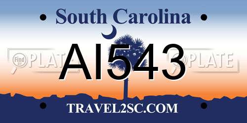 AI543 South Carolina License Plate